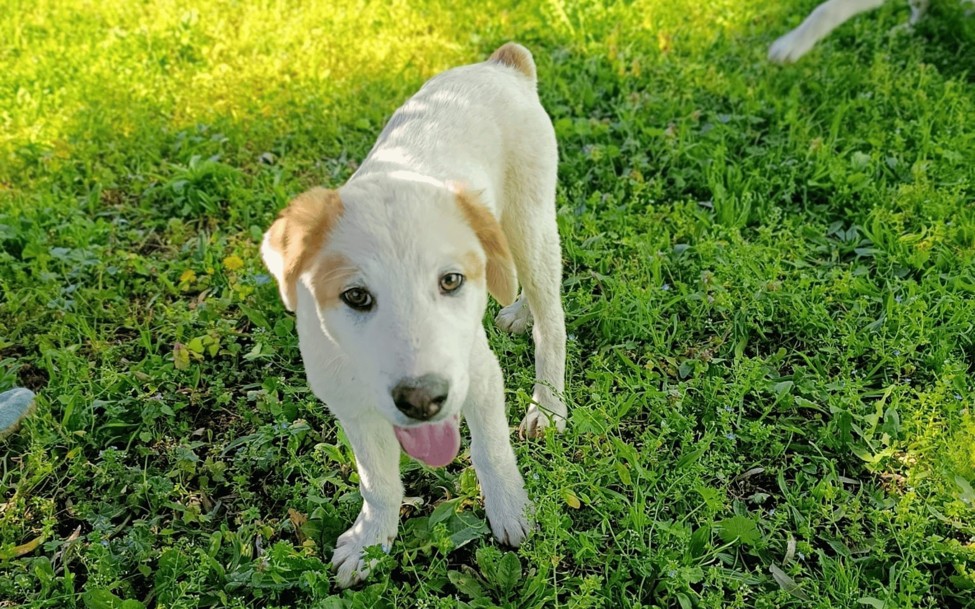 Billy