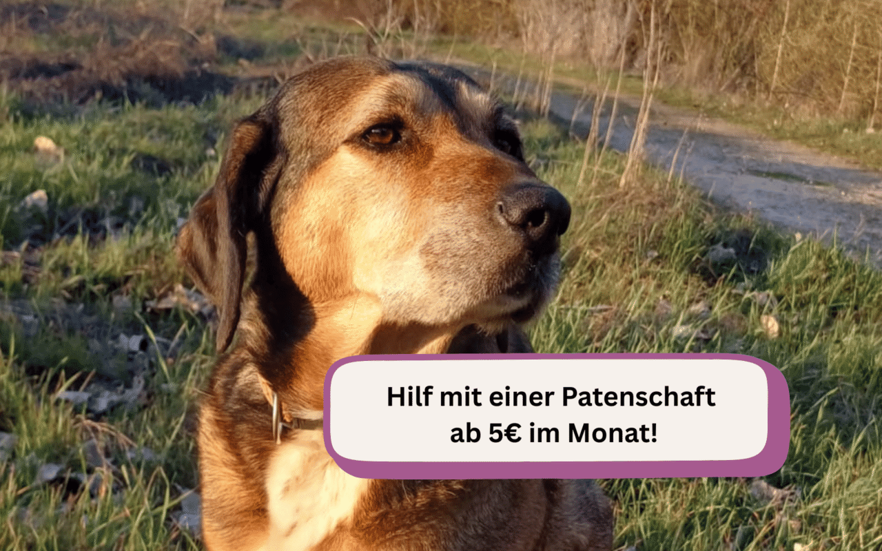 Update Luna_BB_maerz26 (1)