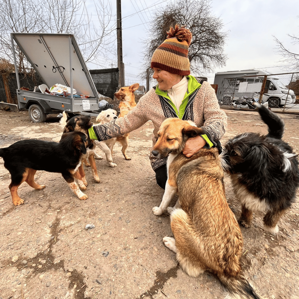 monicarumaenien_maerz26