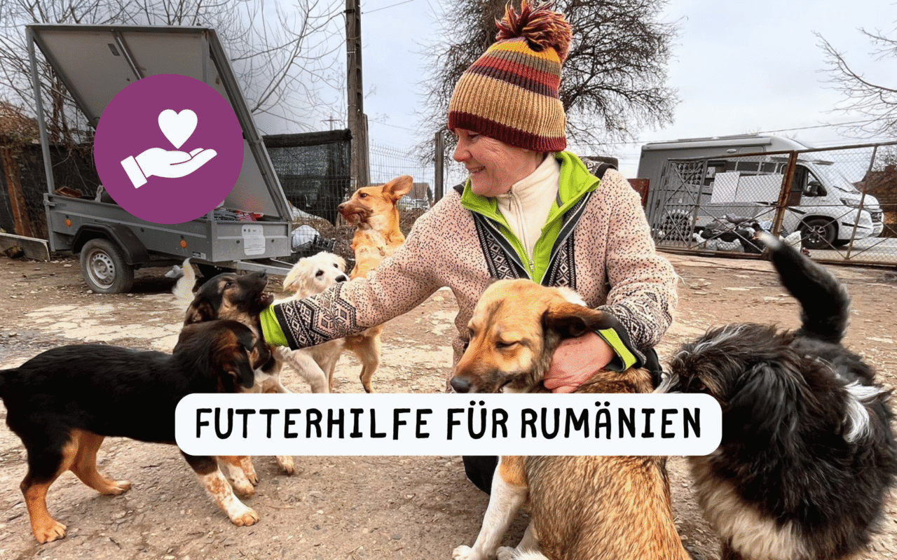 Eure Hilfe ist gefragt!