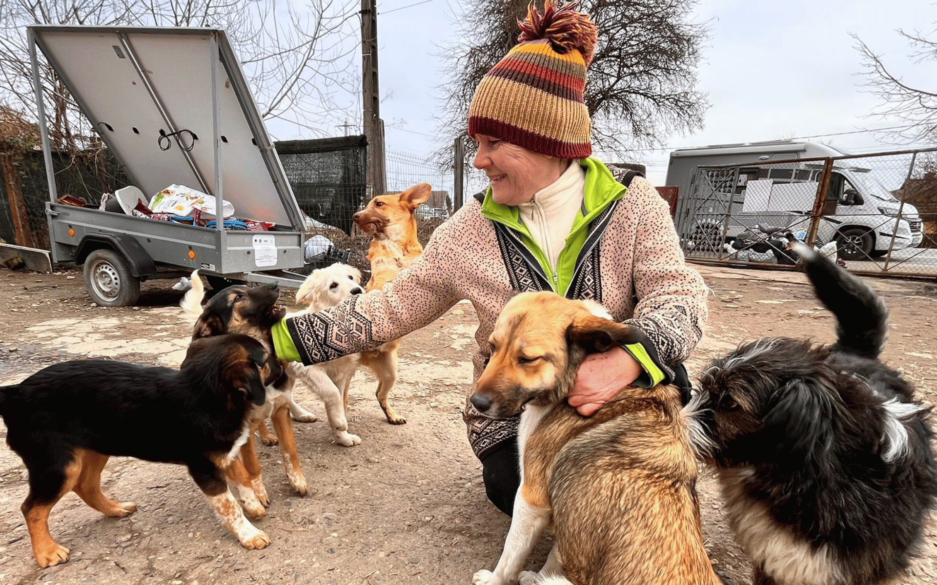 kleiner Mischlingswelpe aus Rumänien, weiß-hellbraunes Fell sucht Pflegestelle