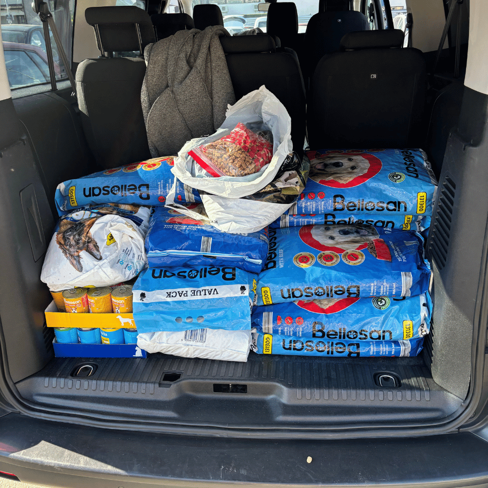 Rumänien-reise-april26-06