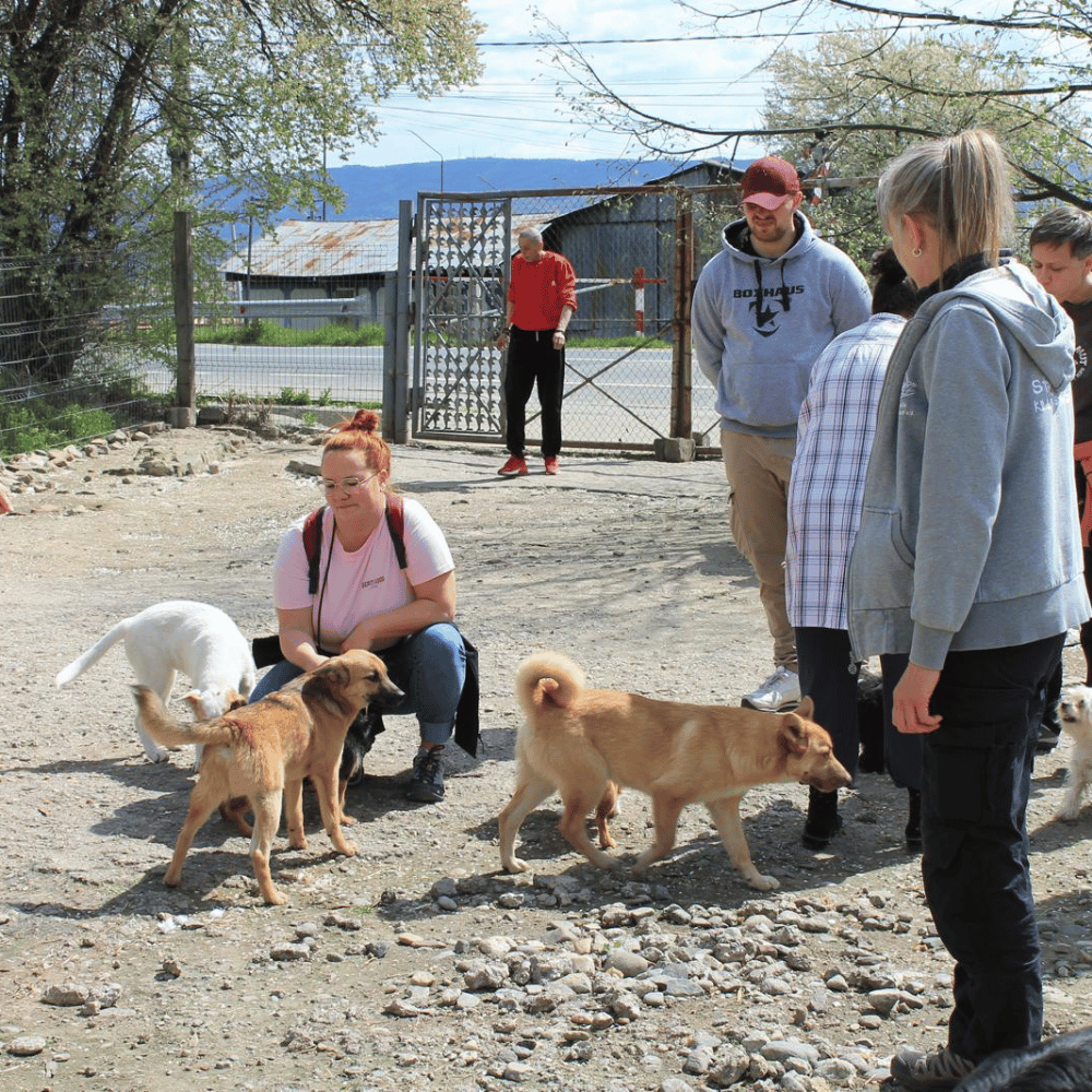 Rumänien-reise-april26-09