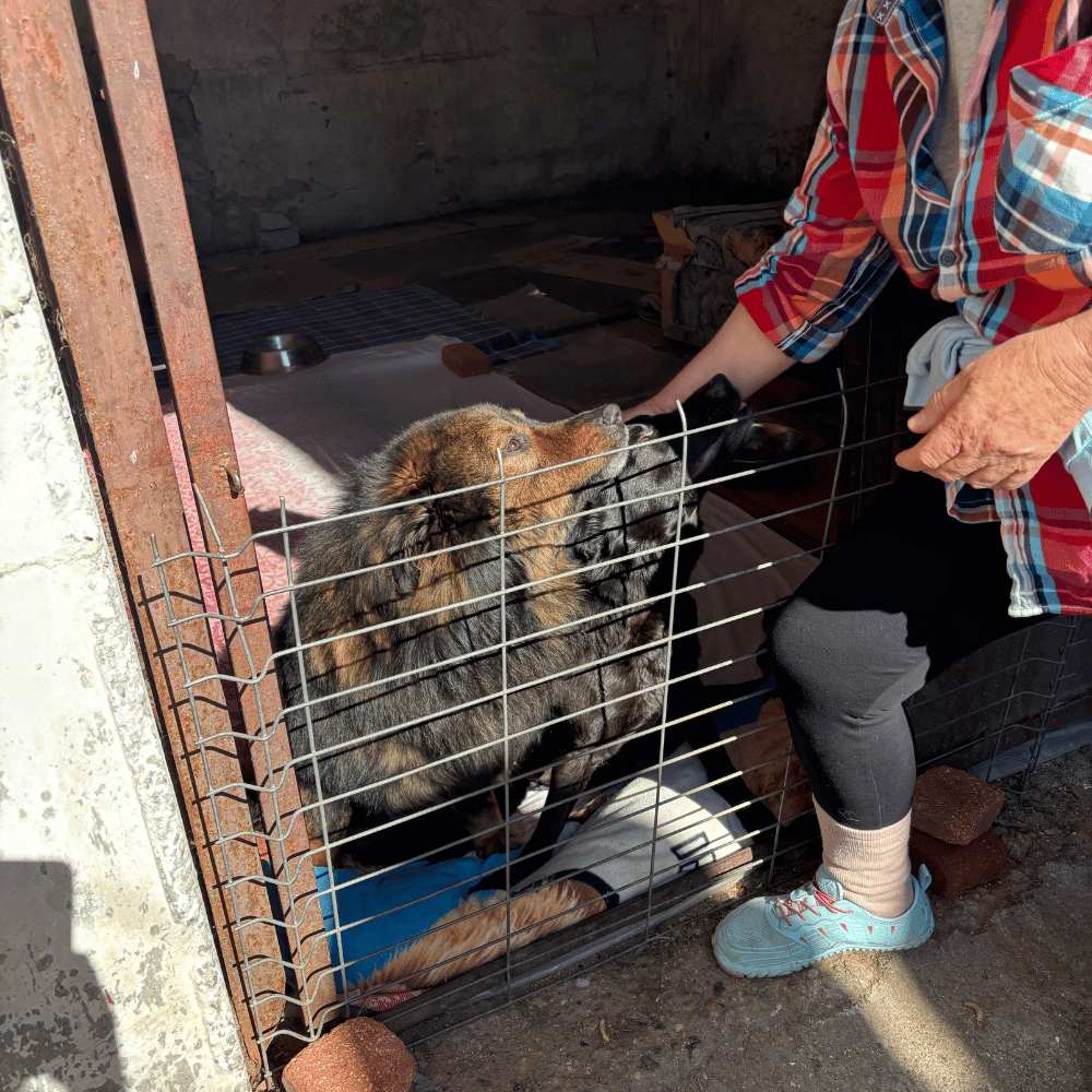 Rumänien-reise-april26-11