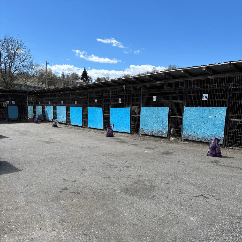 Rumänien-reise-april26-17