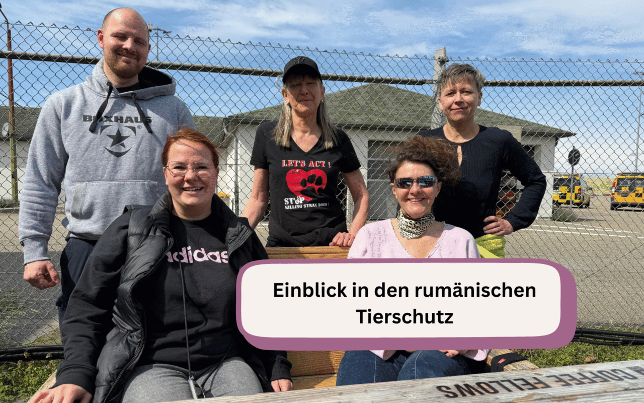 Update-rumaenienreise-april26