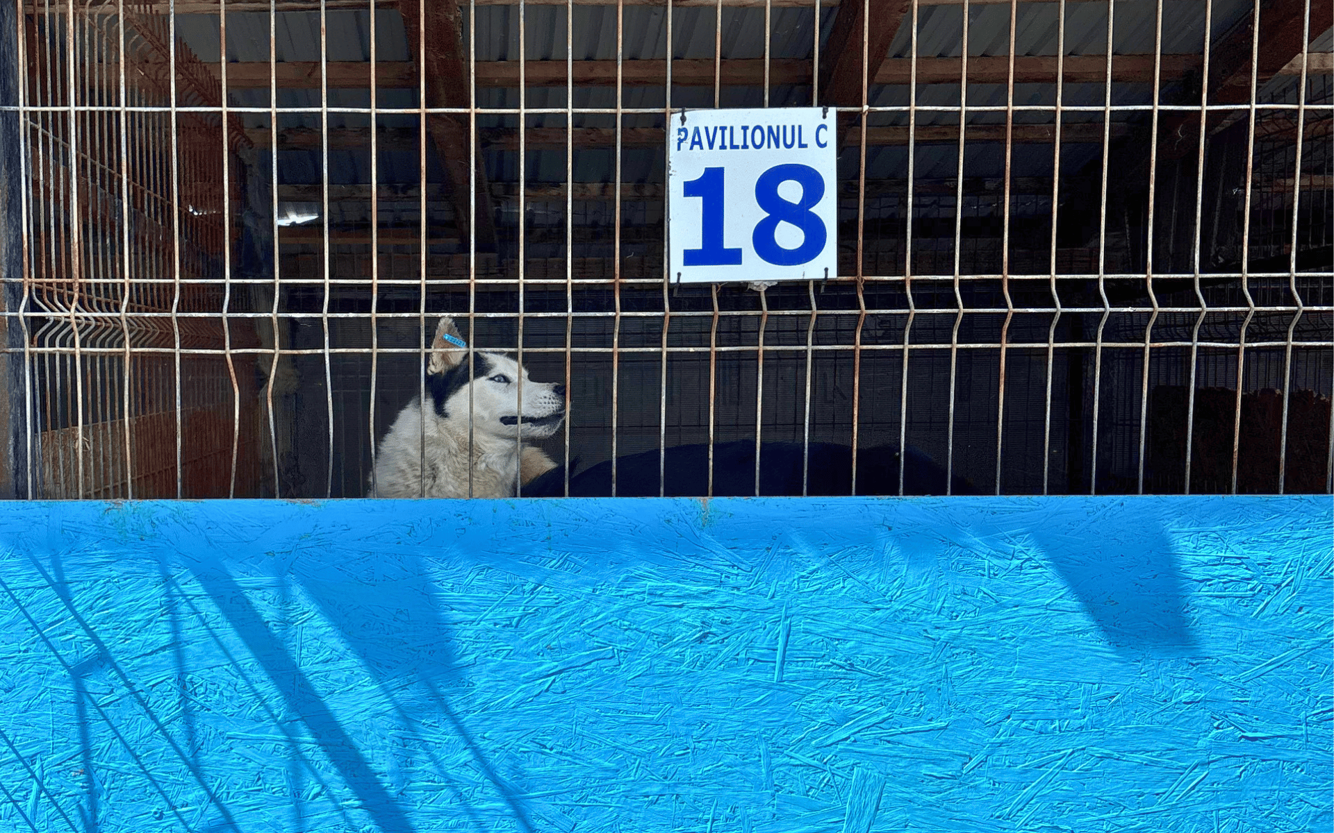 rumaenien-reise-april26-01