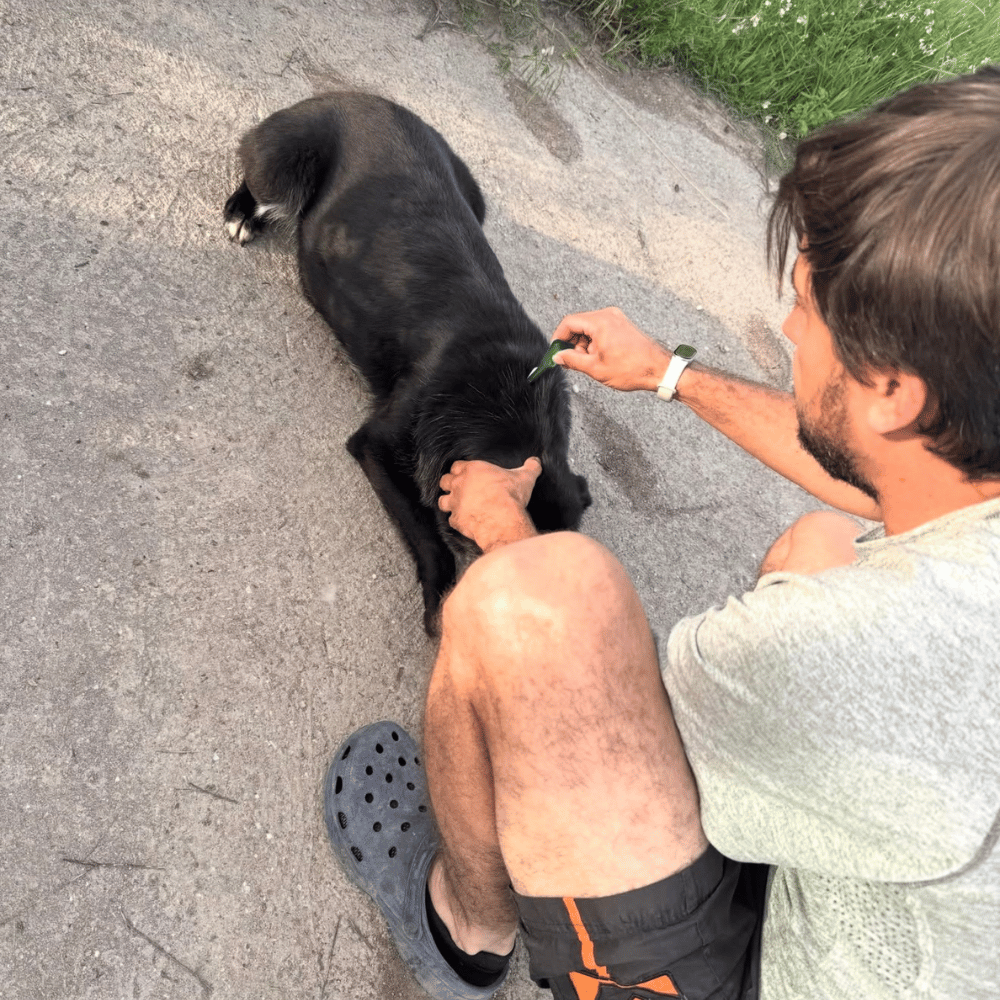 Kastrationskampagne Mai 26_2