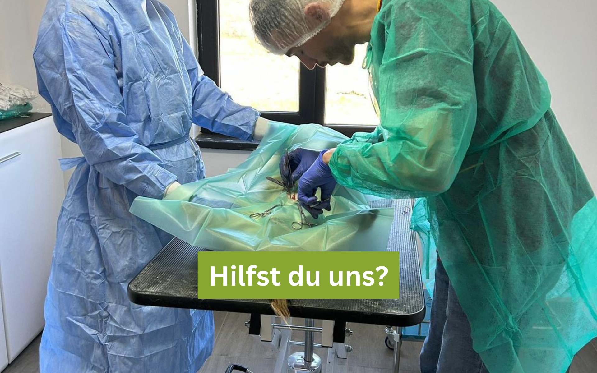 Kastrationskampagne_Titel