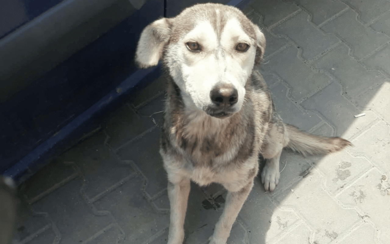 WilmaBB_072026